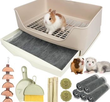 rabbit litter box setup