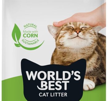 best cat litter