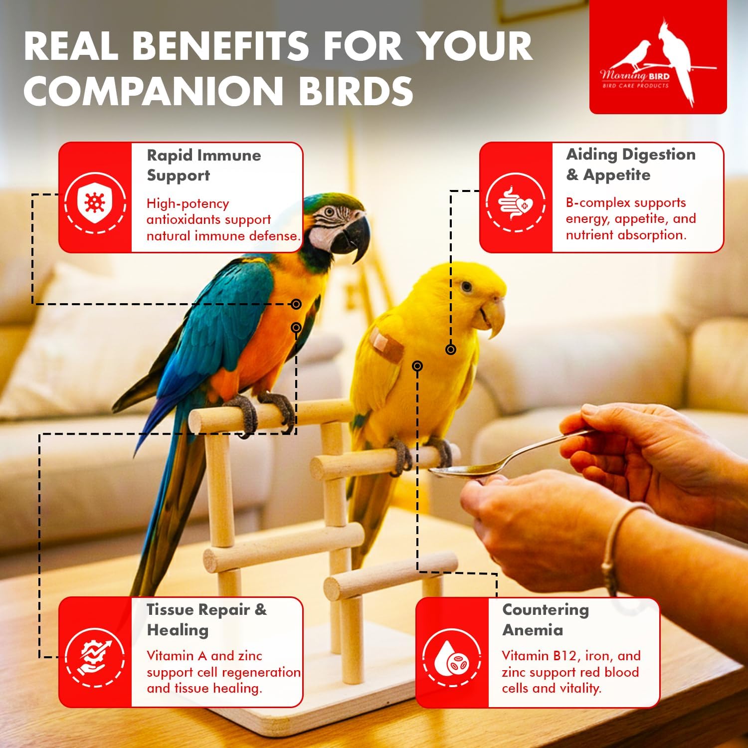 Morning Bird Thrive 2 oz – Daily Multi-Vitamin Bird Supplement for Immune & Recovery Support – Ideal for Sick, Injured, or Recovering Birds – Energy & Wellness Formula for Adult Birds - Happypetzone.online - Image 4