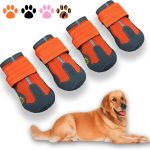 dog shoes boots