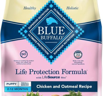 dog food for small dogs