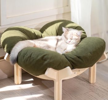 cat resting furniture