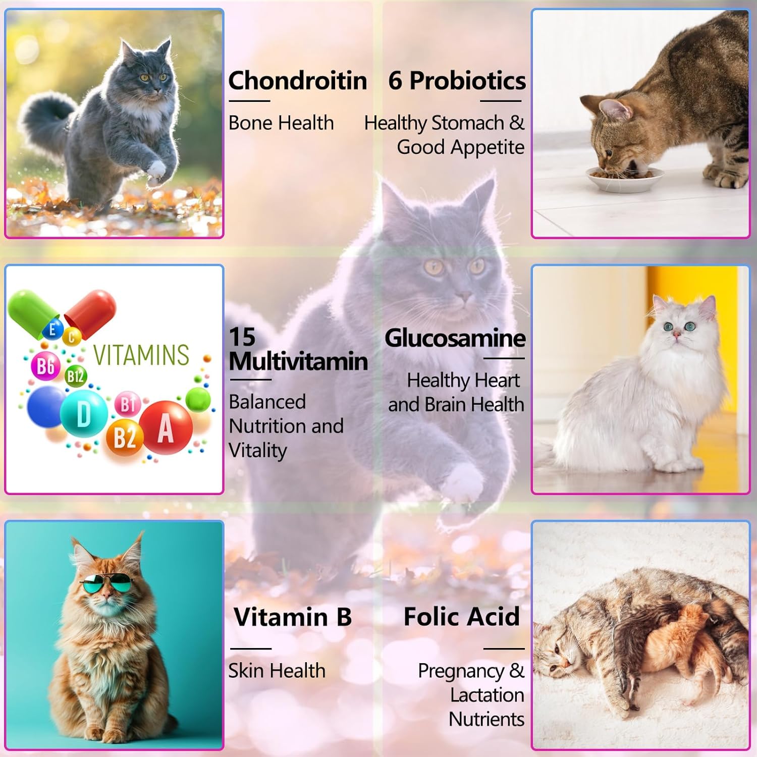 2PCS Liquid Multivitamin for Cat, 15 in 1 Cats Multivitamin Liquid Drops Supplements for Skin & Coat, Heart Health, Bones and Joint, Cat Vitamins with Glucosamine and MSM, Immune System Support - Happypetzone.online - Image 4