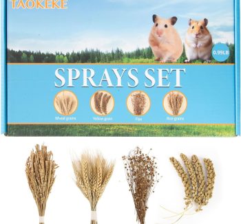 organic hamster food