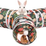 rabbit tunnel play