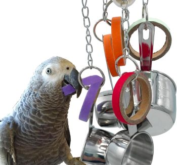 bird food for parrots