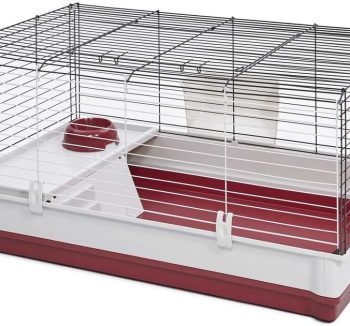 rabbit cage indoor