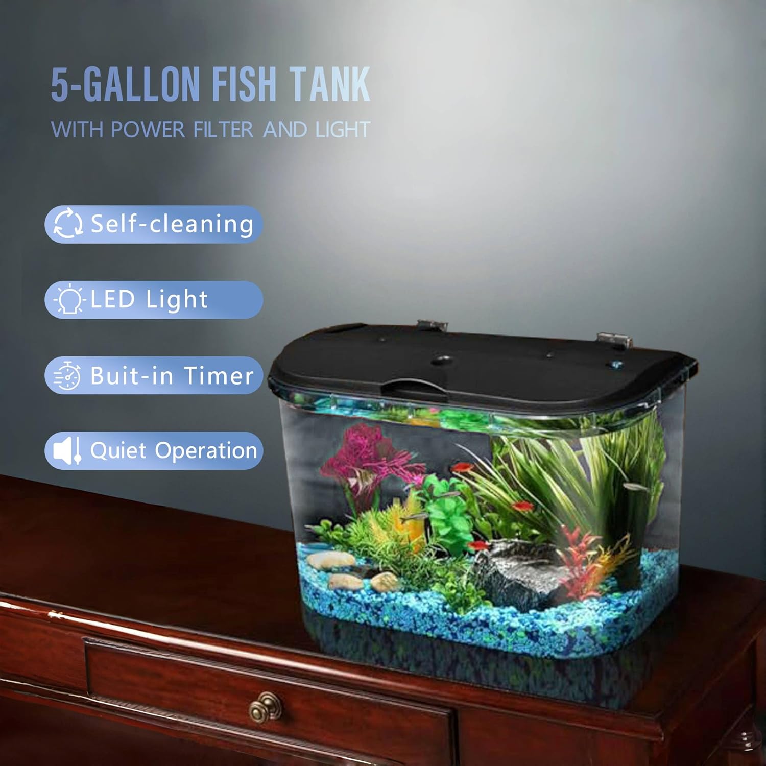 Koller Products 5-Gallon Aquarium Kit with LED Lighting and Power Filter, Ideal for a Variety of Tropical Fish - Happypetzone.online - Image 2