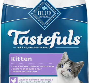 best cat food