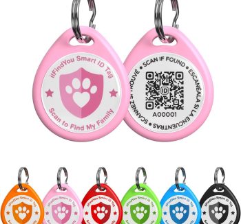 cat id tag personalized