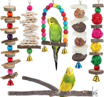 bird toy set bundle