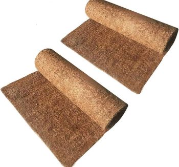 reptile natural habitat bedding