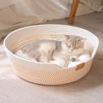 best cat bed