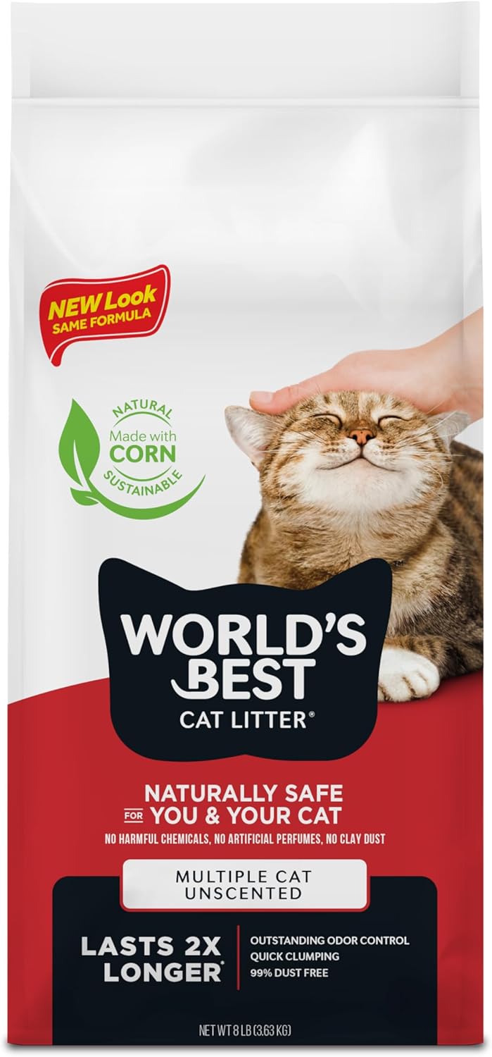 best cat litter
