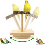bird swing toys