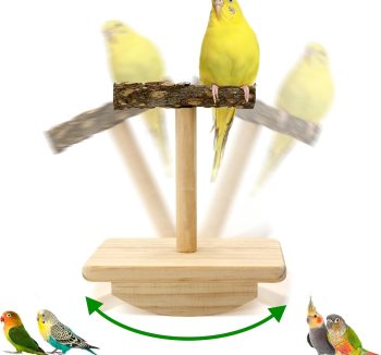 bird swing toys