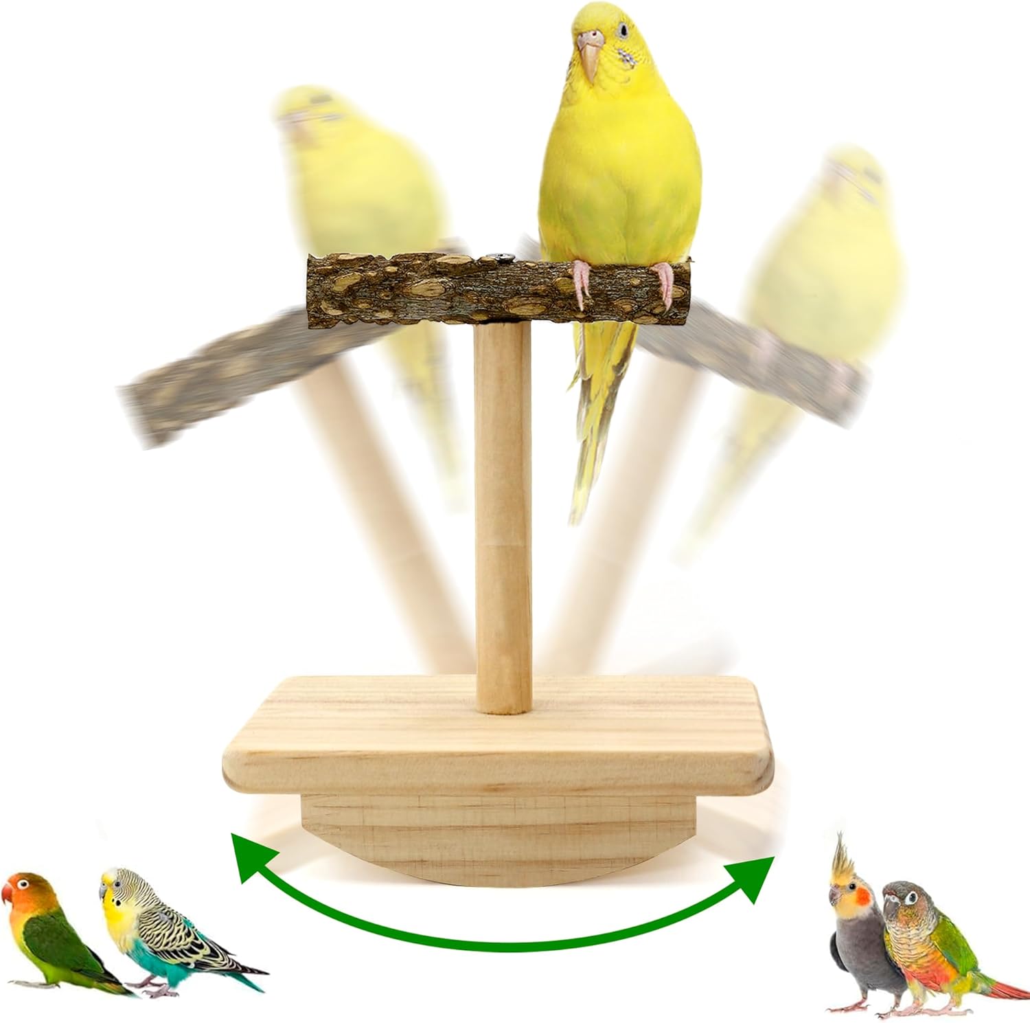 bird swing toys