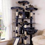 cat tree for big cats