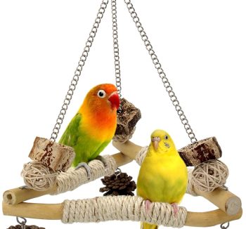 bird hanging swing