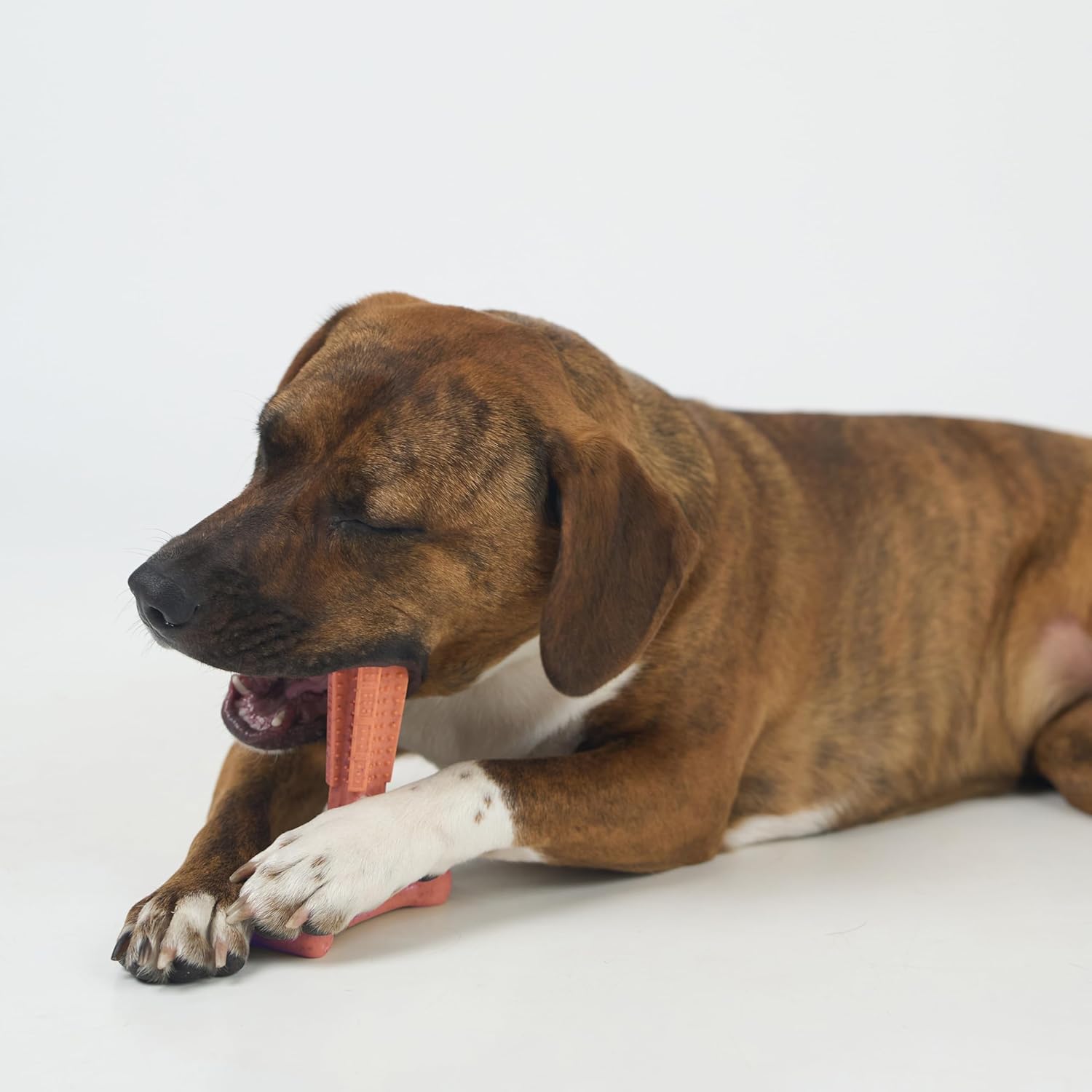 SPOT Bam-Bones Plus T Bone – Bamboo Fiber & Nylon Dog Chew Toy for Moderate to Aggressive Chewers, Durable Long Lasting & Non-Splintering, Beef Flavor Toy for Adult Dogs & Puppies Under 60 lbs, 6 in - Happypetzone.online - Image 15