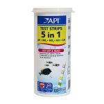 fish food for saltwater fish