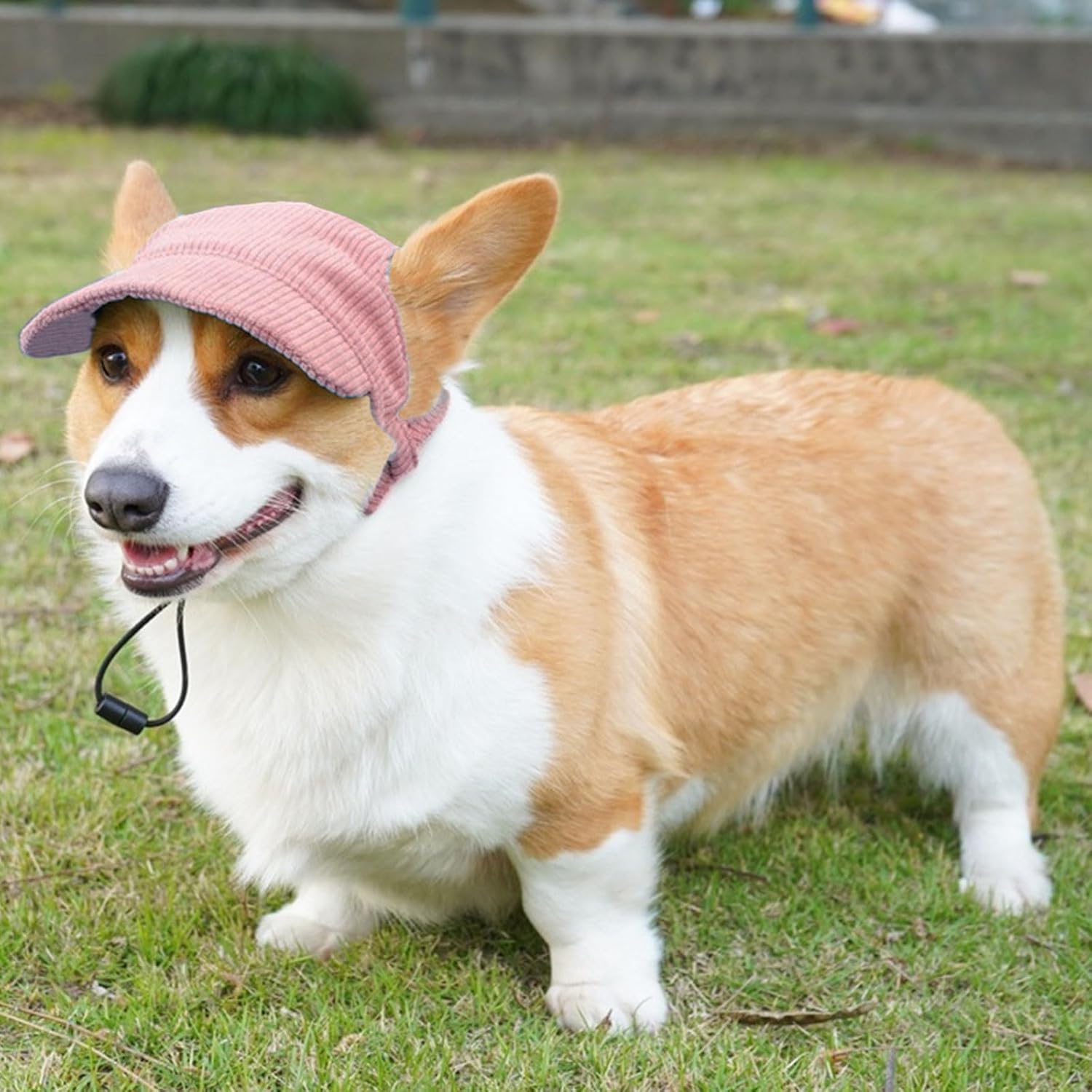 Dog Baseball Cap, Dog Cat Summer Beach Visor Hat with Ear Holes, Adjustable Puppy Sunbonnet Headdress (Pink, Medium) - Happypetzone.online - Image 5
