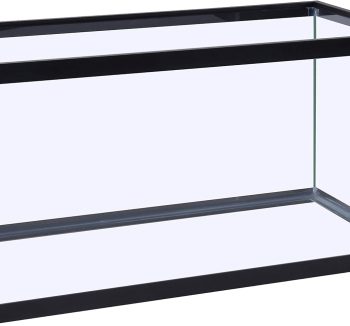 glass aquarium tank