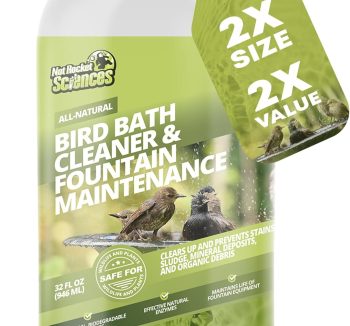 bird safe cleaning solution