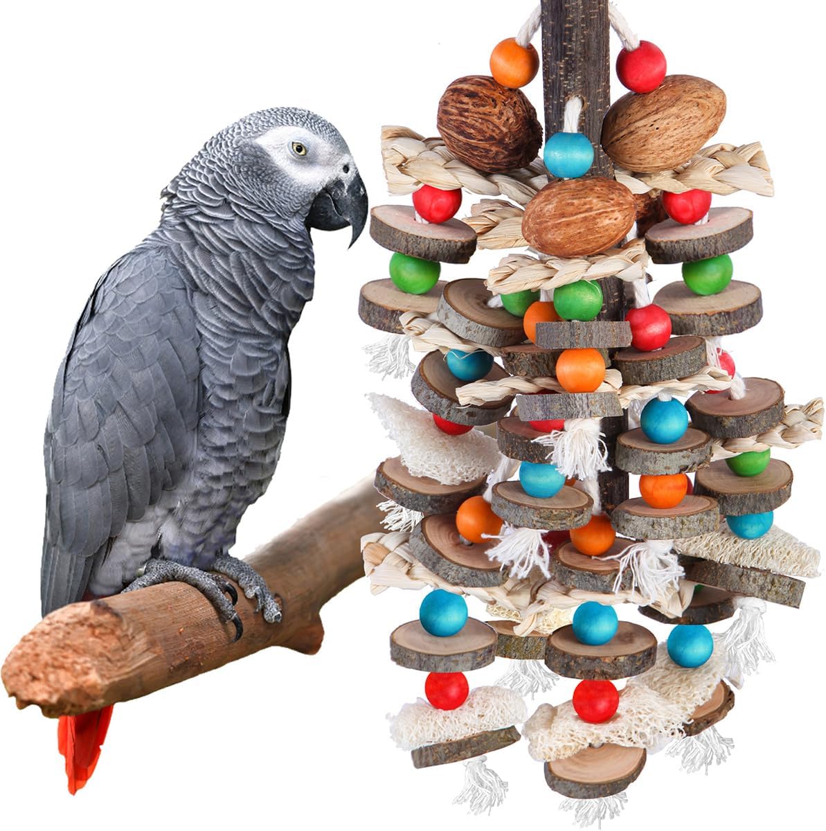 bird toys amazon best