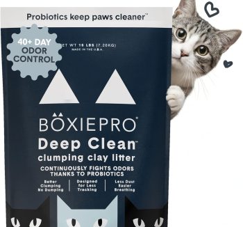 cat litter box anti smell