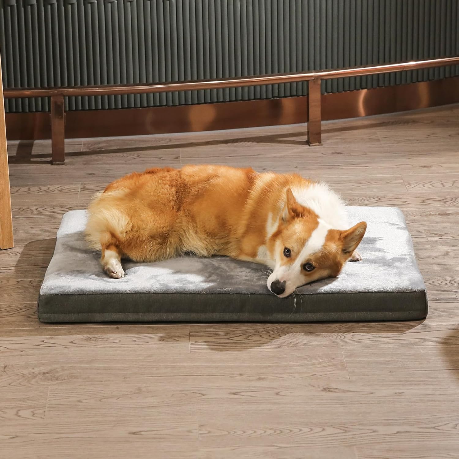 Amazon Basics Washable Dog Bed with Cooling Gel Memory Foam, Pressure-Relief Support for Dogs up to 50lbs, Non-Slip Bottom, Removable Cover, Large (35" x 22"), Grey - Happypetzone.online - Image 9