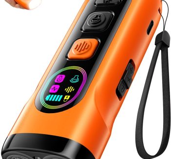 dog training tools
