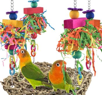 bird swing for birds