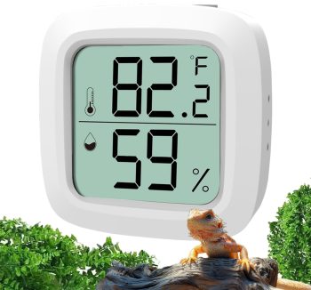reptile accessories amazon best