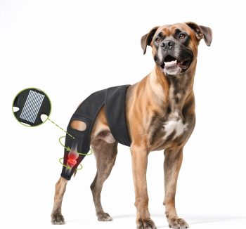 dog hip and joint care