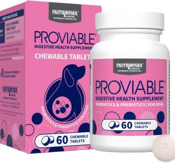 dog probiotic supplement