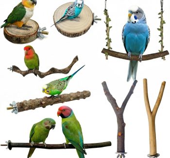 bird perch set