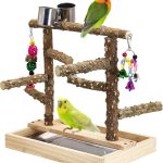 bird perch stand