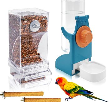 bird food no mess