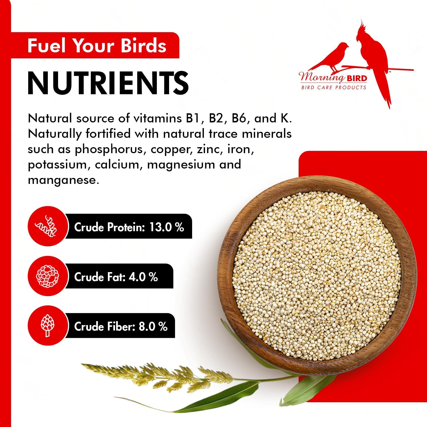 Morning Bird White Proso Millet 1.5 lbs – Unhulled Natural Bird Seed – Supports Feather Growth & Balanced Nutrition – High Energy Delicious Seed - Ideal for Finches, Parakeets & Pet Birds - Happypetzone.online - Image 4