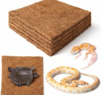 reptile natural habitat bedding