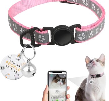 cat collar with name tag