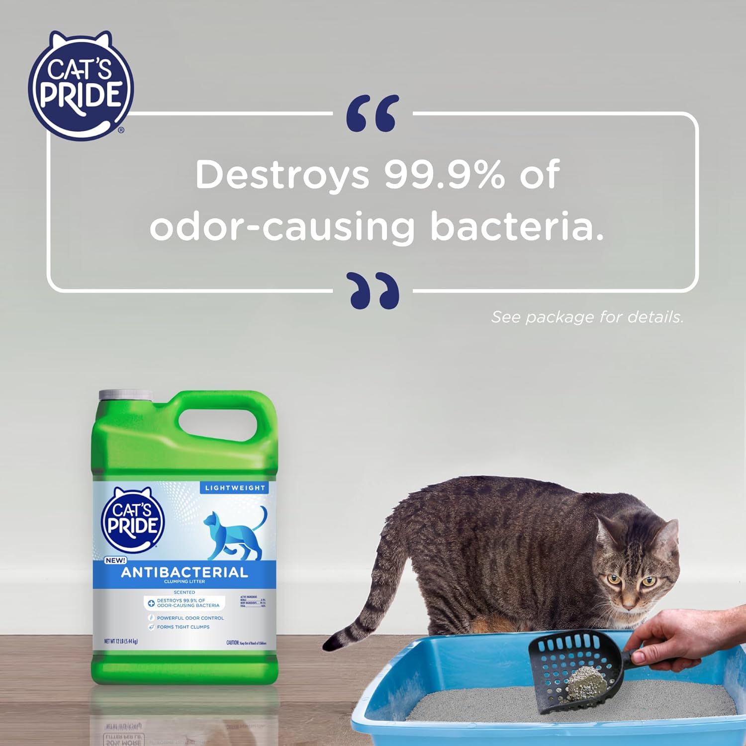 Cat's Pride NEW Antibacterial Cat Litter: Destroys 99.9% of Odor-Causing Bacteria - Powerful Odor Control - Premium Lightweight Clumping Litter - Scented, 12 Pounds - Happypetzone.online - Image 5