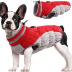 dog clothes winter