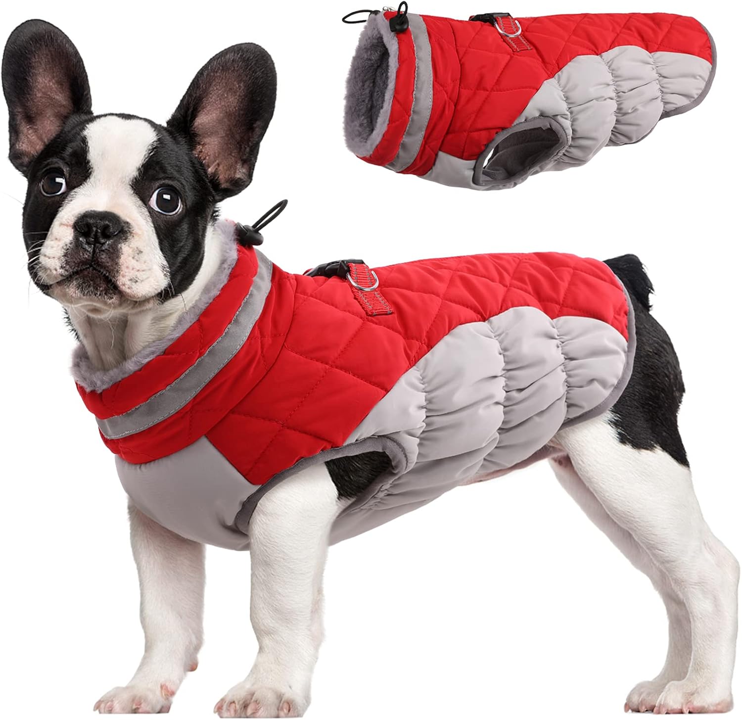 dog clothes winter