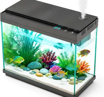 fish tank setup kit