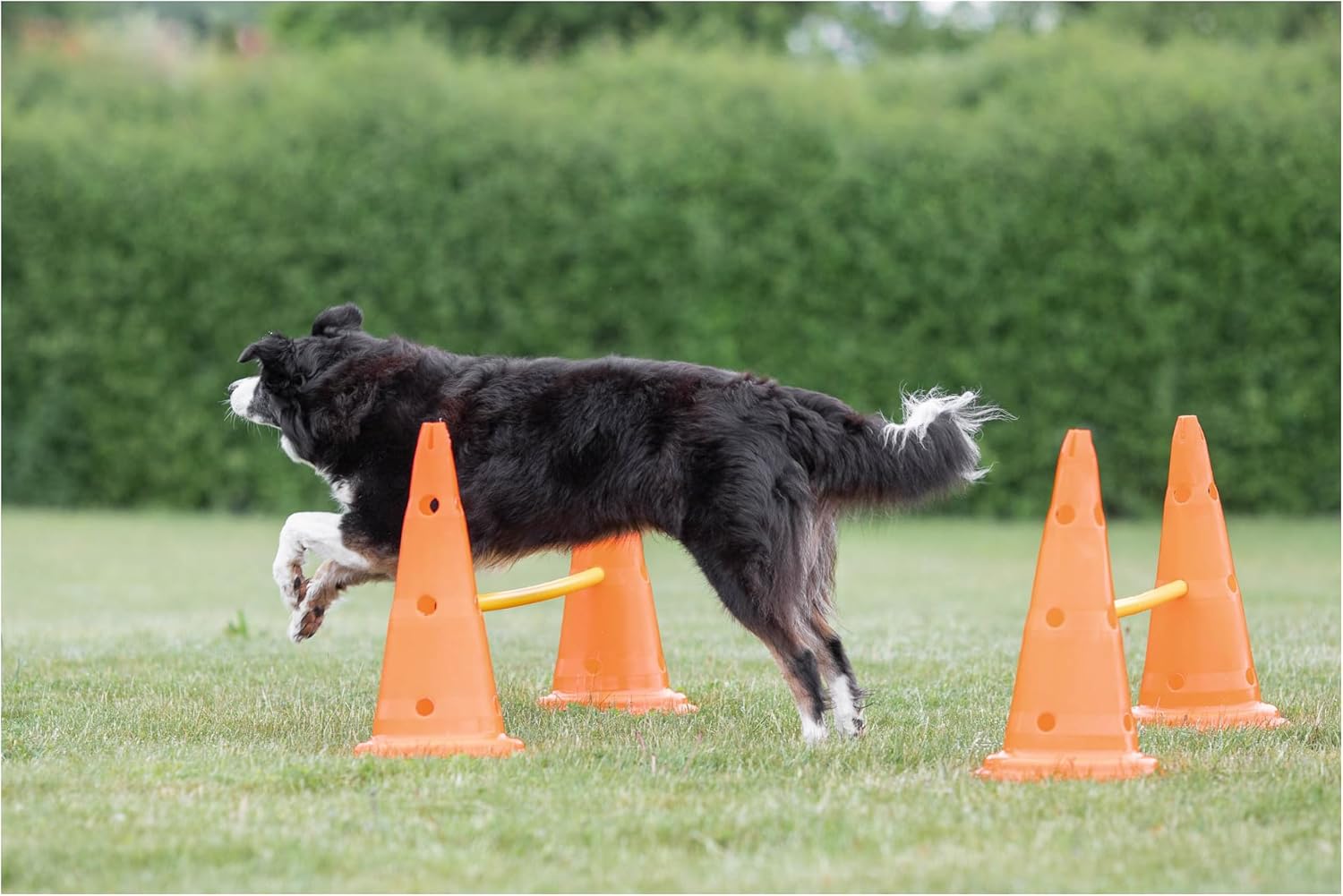 Trixie Dog Agility Hurdle Cone Set – Dog Agility Set with Height Adjustable Crossbar for Beginners & Advanced, Dog Agility Equipment for Dog Obstacle Courses – 6 x Cones, 3 x Agility Rods - Happypetzone.online - Image 3