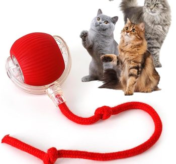 smart cat toys