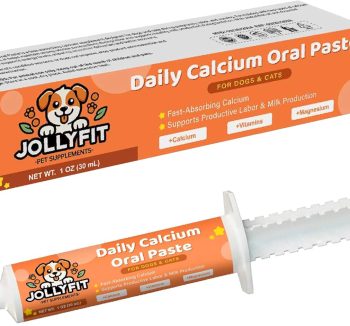 cat immune booster