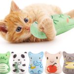 cat toys for kittens
